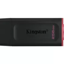 Kingston DTX/256GB