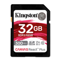 Kingston SDR2/32GB