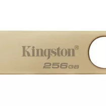 Kingston DTSE9G3/256GB